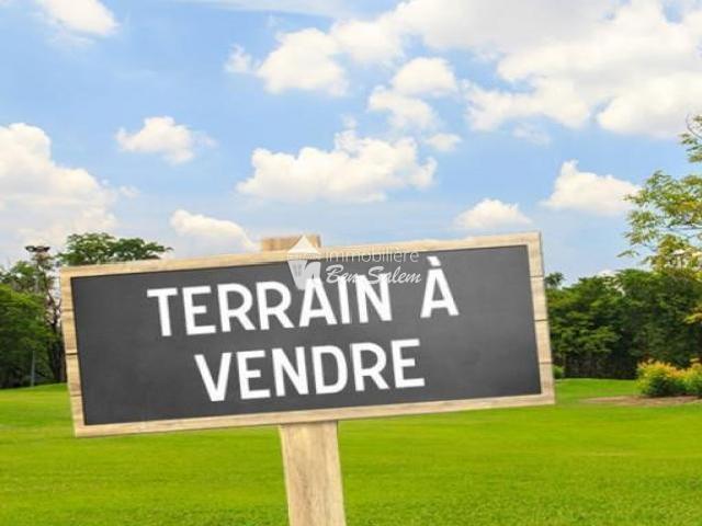Terrain Hamed
